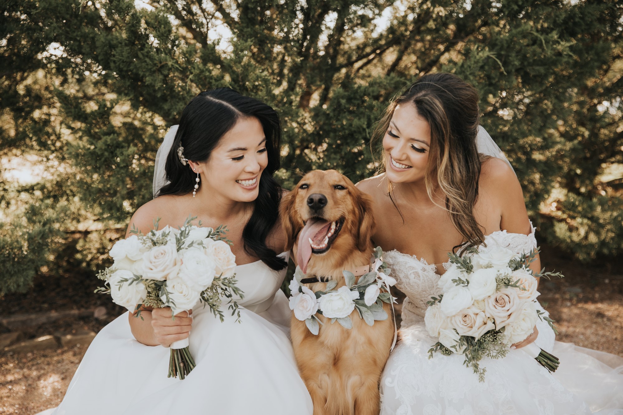 LGBTQ female newlywed couple in wedding dresses sit with golden retriever dog