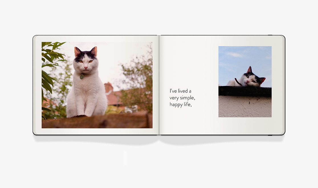 Landscape Moleskine Photo Book of black and white cat sitting on fence