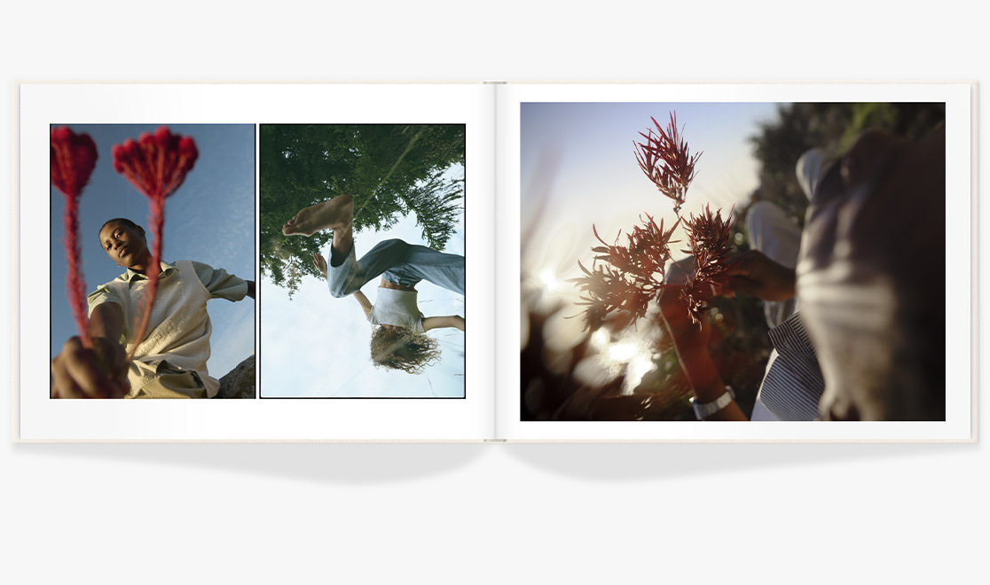 Open photo album of professional nature photos under sun