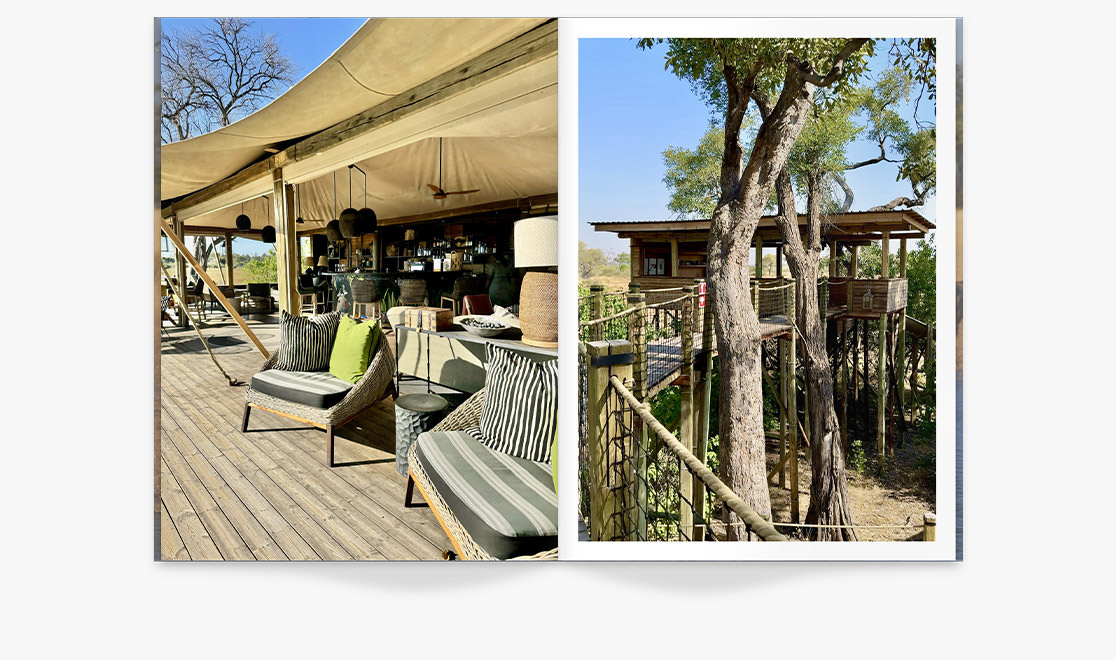 Honeymoon Magazine of treehouse overlooking antelopes in Africa