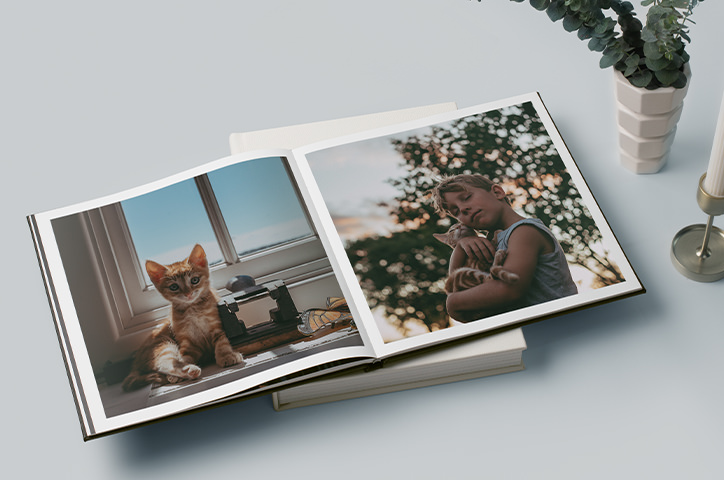 Book with images of cats on it