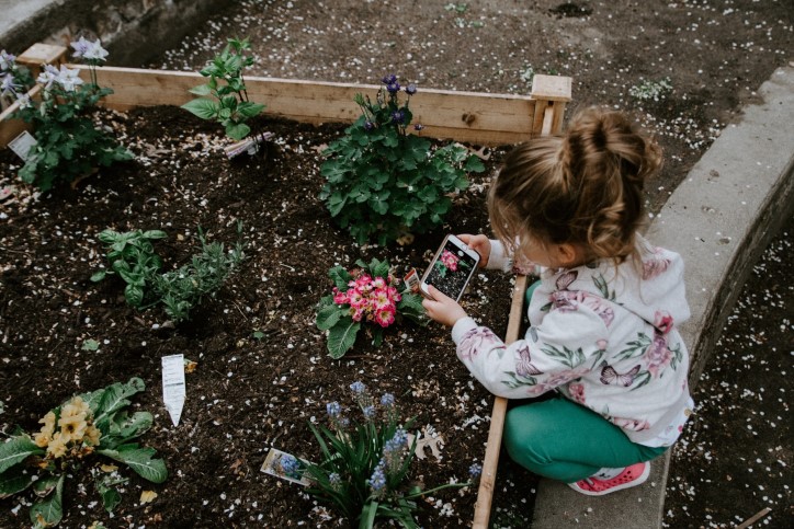 Young girl planting flowers in home garden