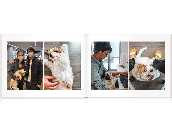 Open landscape photo album with couple playing with small white puppy