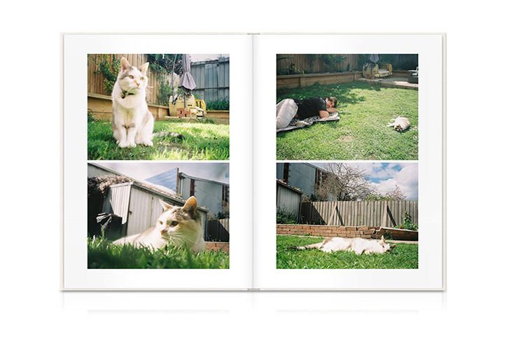 Pet photo book of pet cat