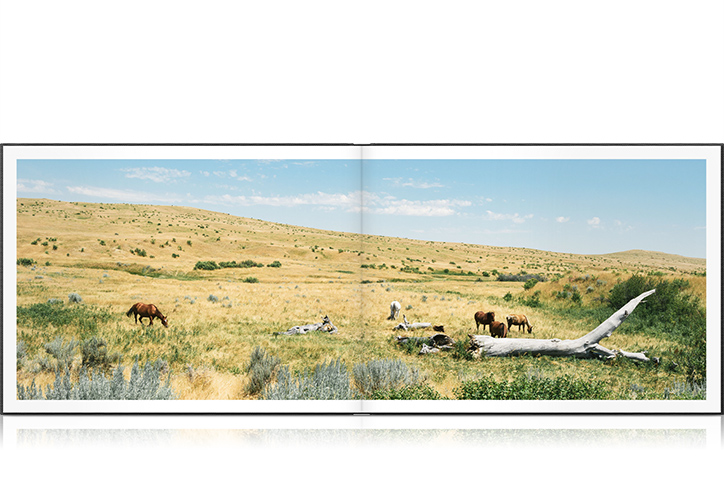 Open photo book showing image of field