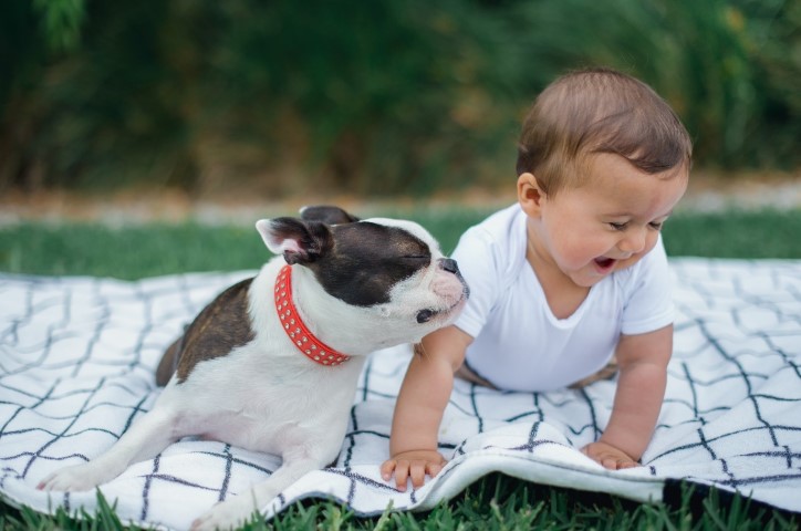 Baby in white onesie laughs on picnic blanket next to small dog