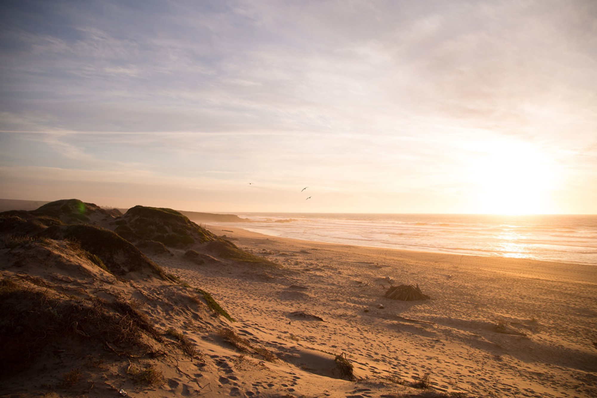 Landscape of beach sand at sunset
