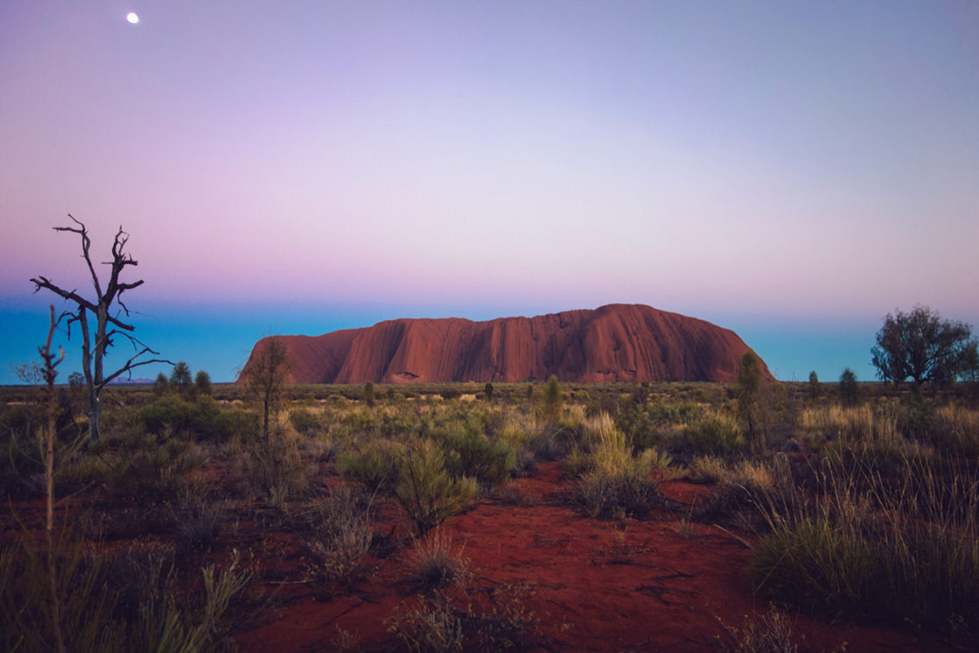 Uluru at dusk under purple and blue sky