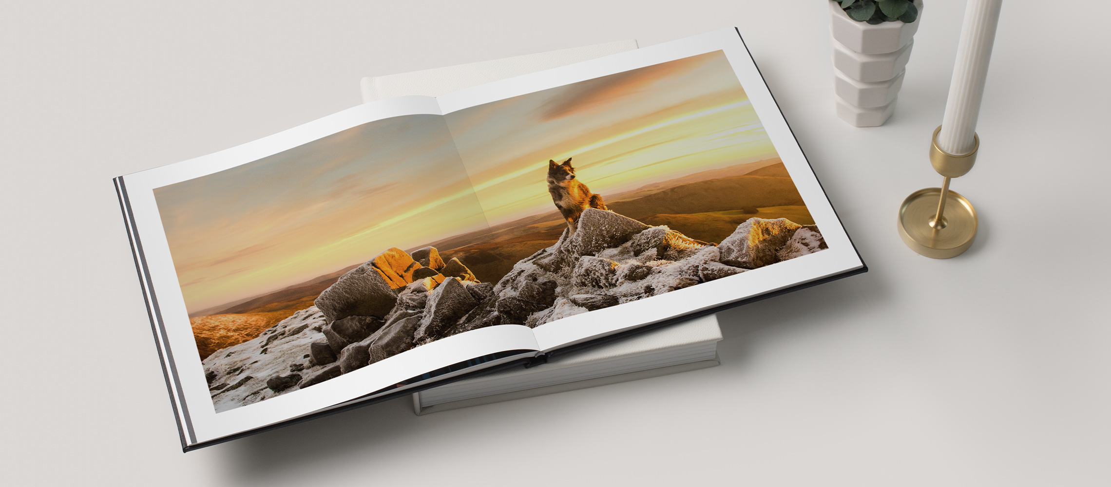 Open pet photo book with image on dog on mountain