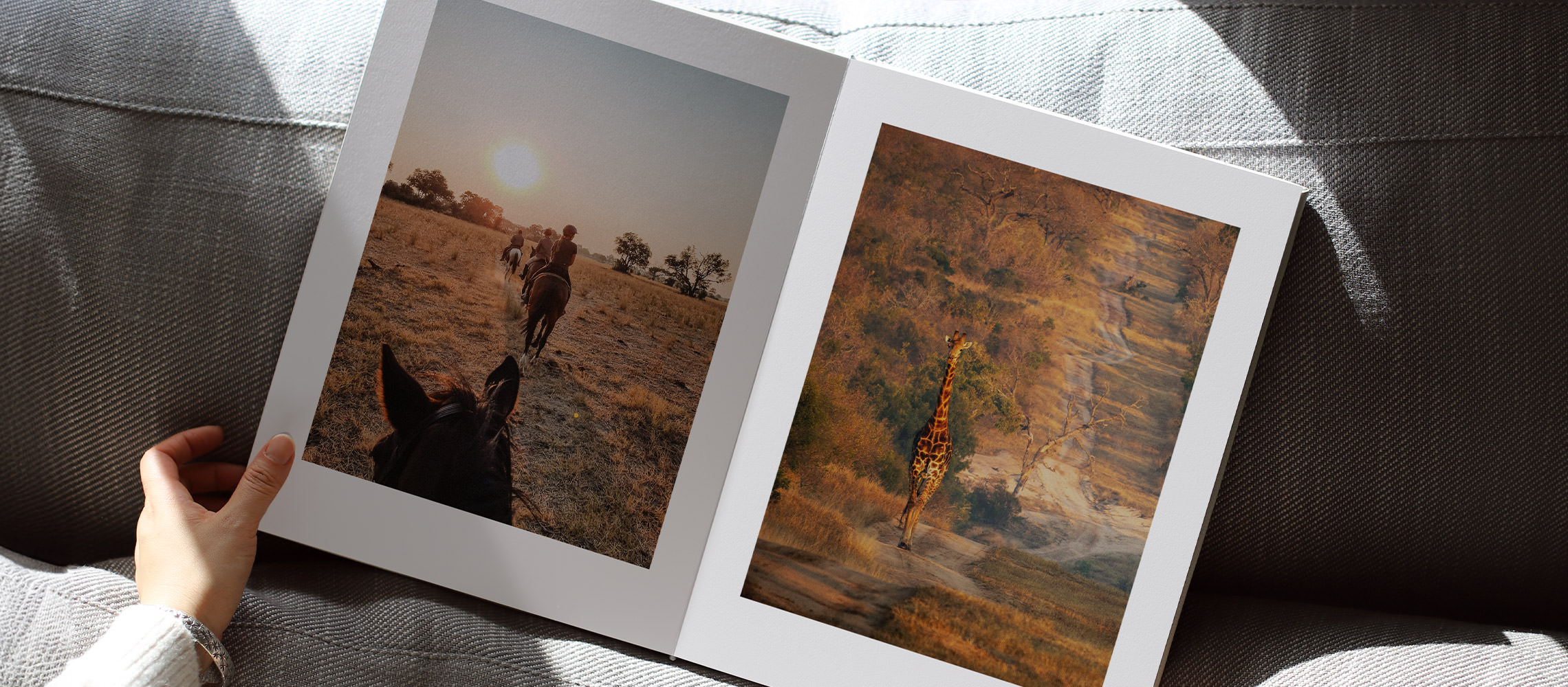 Safari photo book