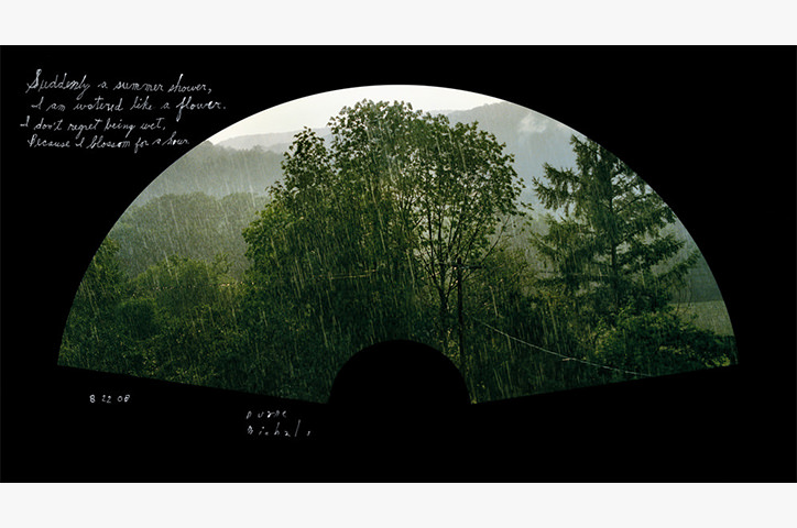 Misty forest with lush trees photographed from inside dark tunnel