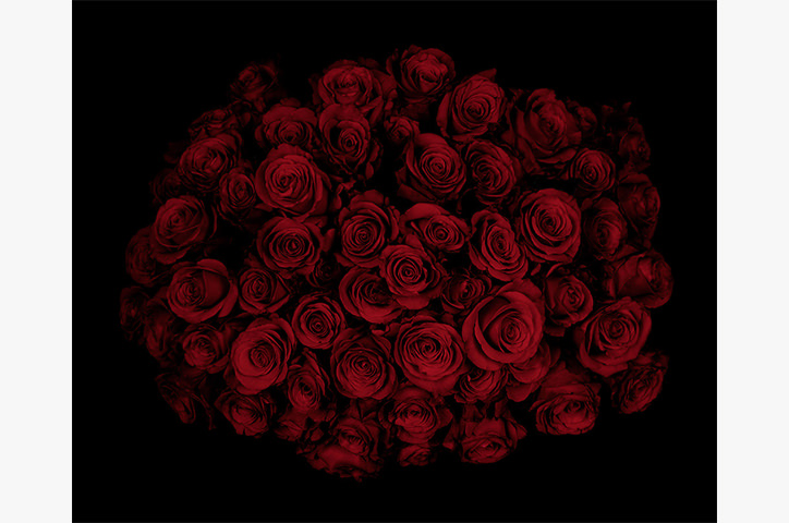 Dark photo of many red roses in a large bunch