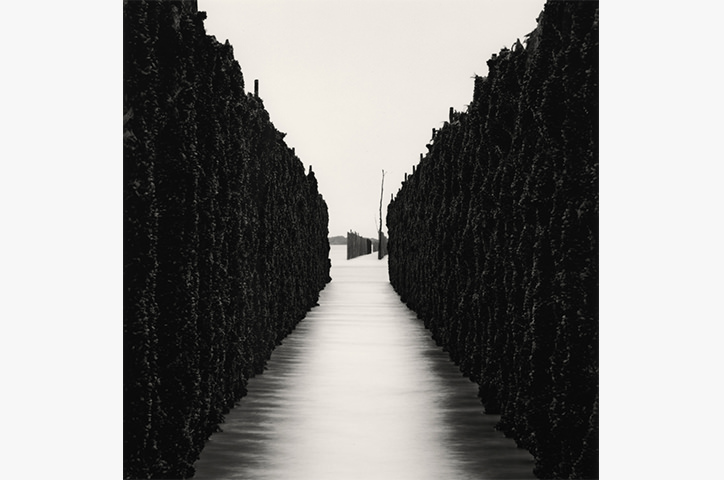 Shellfish Walls, Chausey Islands, France, 2007.