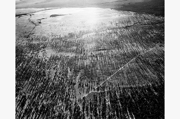 Burned Jeffrey Pine Forest and Tephra Flow Looking Southeast, Highway 120 at Right, Mono Basin, California.