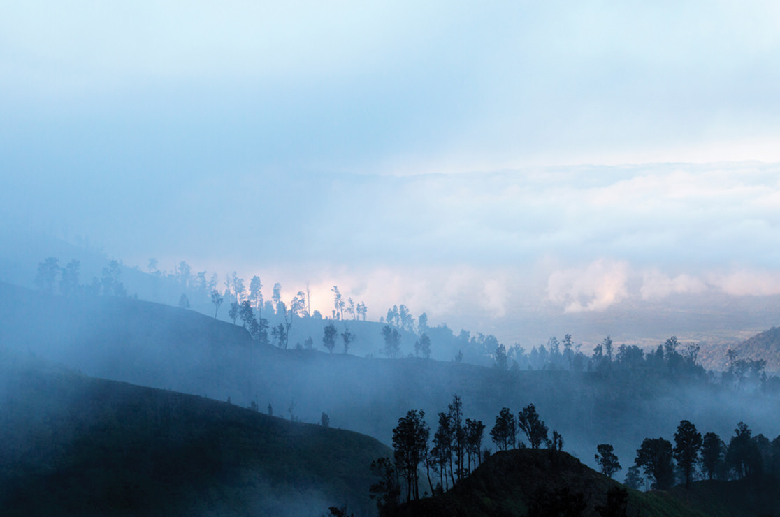 Mist through dark hills and trees