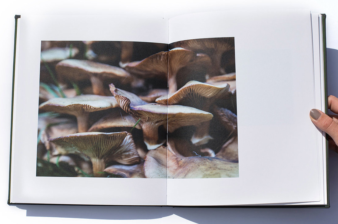 Photo book with photo of mushrooms inside