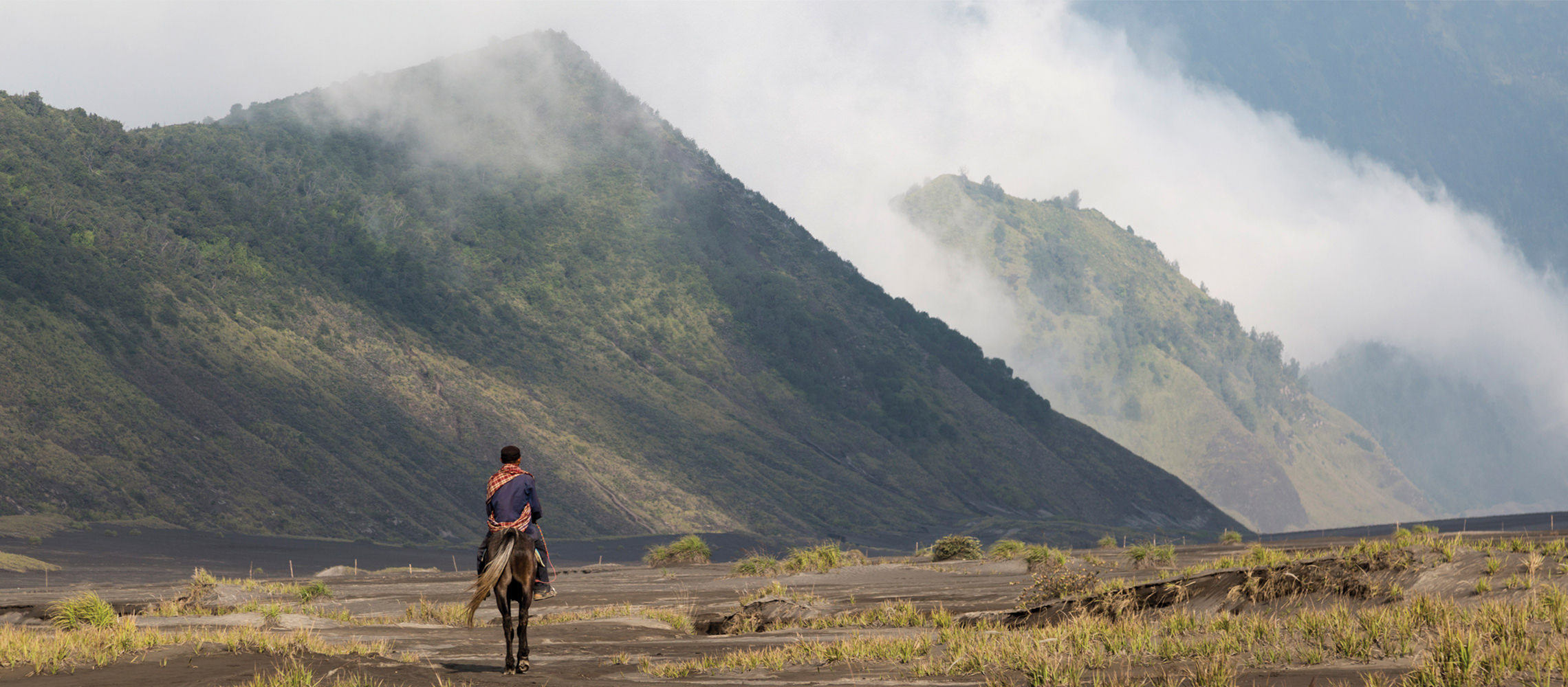 Man riding a horse through misty hills cape