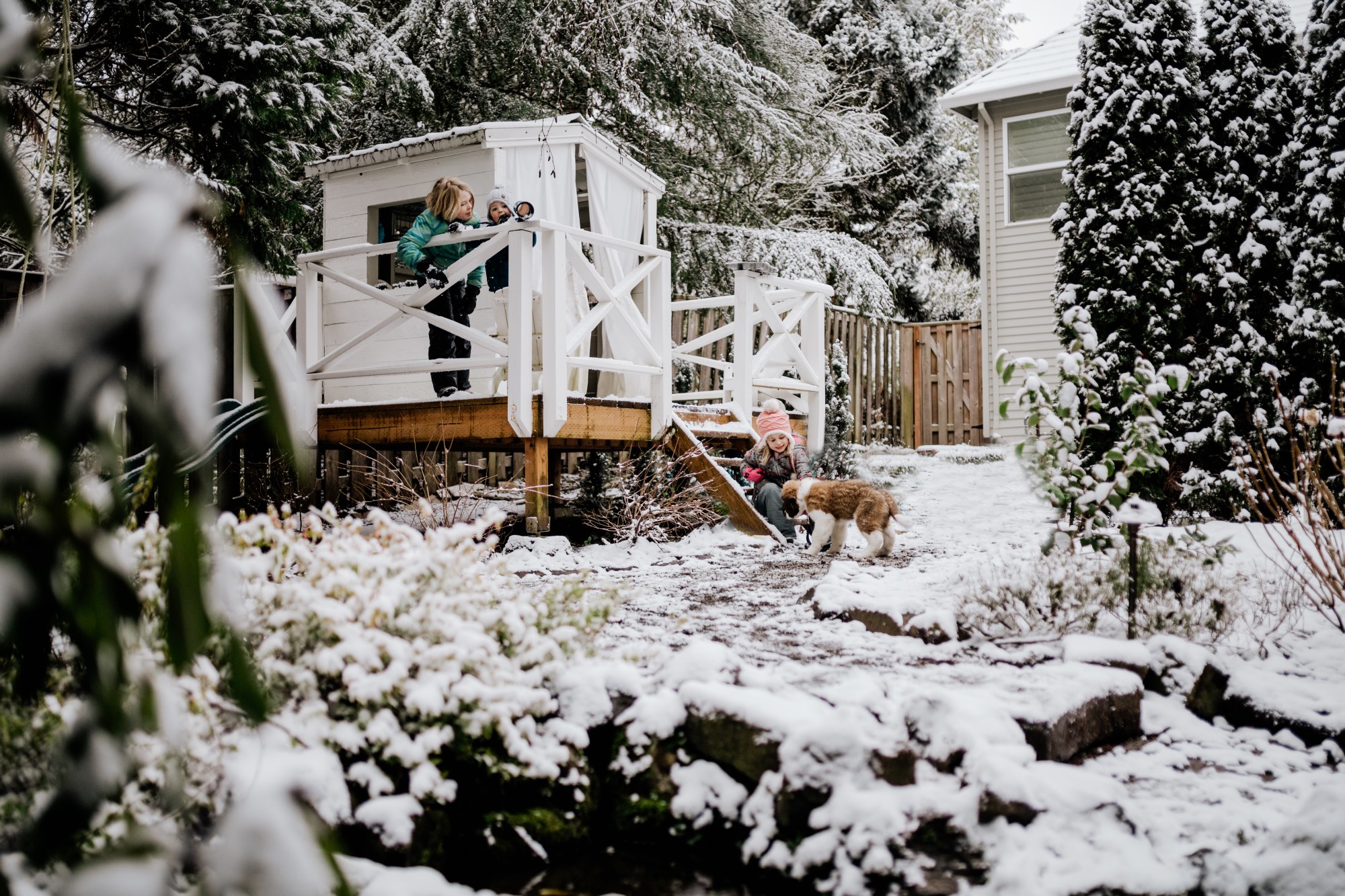 Children and dog playing in snow