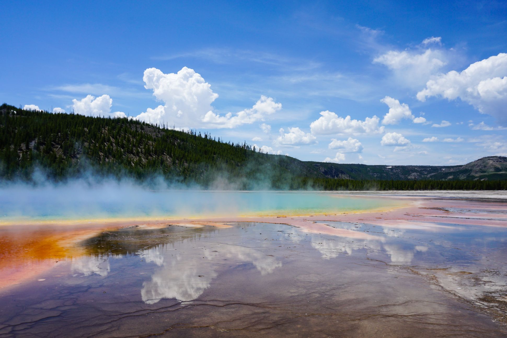 Hot springs at Yellowstone National Park