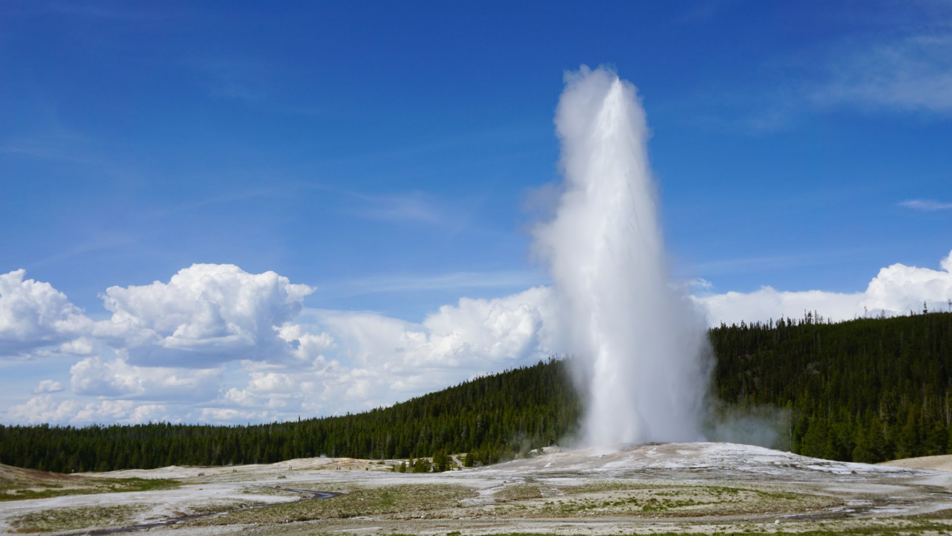 Geysers at the hot springs.