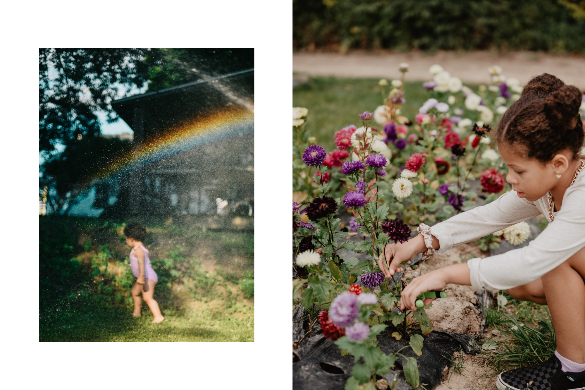 Little girl in purple swimsuit running through sprinkler, and girl tending to garden flowers