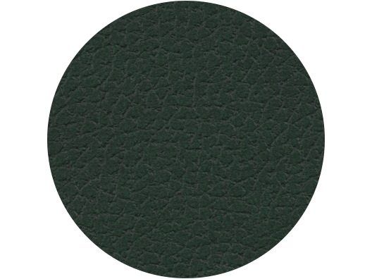 Vegan Leather in Emerald