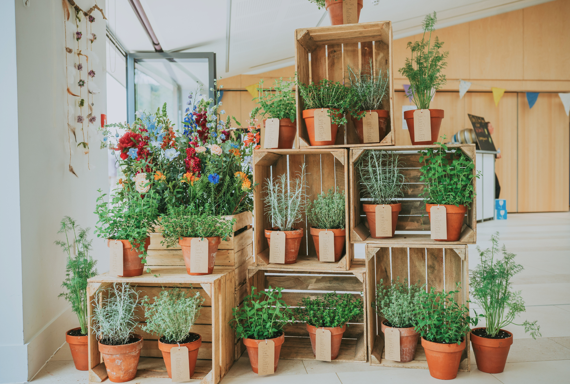 Boxes with cardboard labelled potted plants