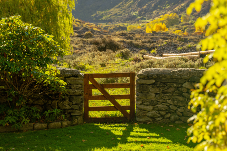 Queenstown farm with bright green grass and hills under warm sunlight with tree overhanging farm fence